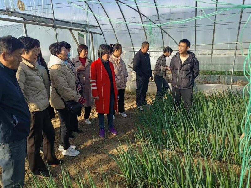 铅山县农业科技：现代农业创新的探索与实践