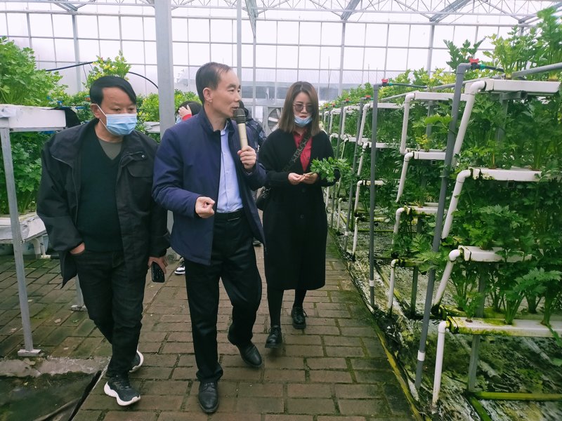 农业科技服务:为现代农业插上科技翅膀