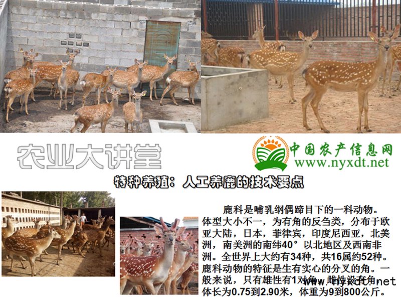 铅山县农业科技：绿色崛起的新篇章